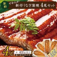 ふるさと納税 やわらか国内産うなぎ蒲焼き！ 食べ切りサイズ100〜120g 4尾　計400g以上|うなぎ 鰻 蒲焼 食べ切り 茨城県 行方市(AD-104-1) 茨城県行方市 | ふるなび(ふるさと納税)