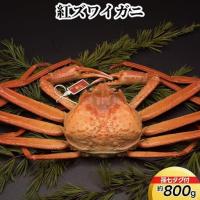 ふるさと納税 紅ズワイガニ約800g（孫七タグ付）※2026年9月〜発送 富山県射水市 | ふるなび(ふるさと納税)