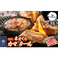 ふるさと納税 国産 本まぐろ カマ ＆ テールセット 計2kg まぐろの王様！希少部位セット（各1kg）【希少 宅飲み バーベキュー 】 [e04-a055] 福井県越前町 | ふるなび(ふるさと納税)