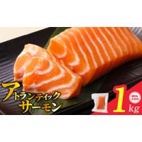 ふるさと納税 アトランティックサーモン 1kg ポーション サーモン 大阪府泉佐野市 | ふるなび(ふるさと納税)