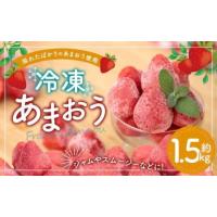 ふるさと納税 冷凍あまおう 約1.5kg 冷凍フルーツ いちご 福岡県遠賀町 | ふるなび(ふるさと納税)