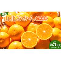 ふるさと納税 ≪先行受注≫山北みかん 約5kg ( 2S 〜 Lサイズ ) ｜ 訳あり みかん ku-0054 高知県香南市 | ふるなび(ふるさと納税)