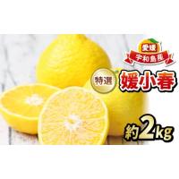 うなぎ 白焼き 鰻の白焼き 長焼き 鰻 うなぎ 白焼き うなぎ白焼き A Seafoodmax 通販 Yahoo ショッピング