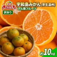 ふるさと納税 【温州みかん】 訳あり 温州みかん 早生 約10kg マル南フルーツ B010-106017 愛媛県宇和島市 | ふるなび(ふるさと納税)