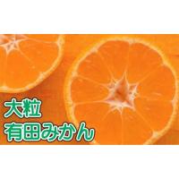 ふるさと納税 【果汁たっぷり】迫力満点！ 大粒 有田みかん 10kg【2024年11月中旬〜12月下旬順次発送予定】【ard055B】  和歌山県太地町 | ふるなび(ふるさと納税)