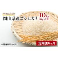 ふるさと納税 【定期便6ヶ月】コシヒカリ 10kg（5kg×2袋）令和5年産 岡山県産 米 お米 白米 岡山県倉敷市 | ふるなび(ふるさと納税)