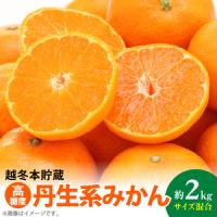 ふるさと納税 AB7067n_【高糖系みかん】越冬本貯蔵 丹生系みかん 約2kg 和歌山県湯浅町 | ふるなび(ふるさと納税)