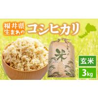 ふるさと納税  令和7年産 コシヒカリ 3kg 福井県産【玄米】【お米 こしひかり 3キロ 人気品種】 [e30-a094] 福井県越前町 | ふるなび(ふるさと納税)