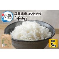 ふるさと納税 【令和5年産】福井県産コシヒカリ「千石」 5kg[Y-079001] 福井県小浜市 | ふるなび(ふるさと納税)