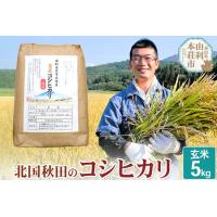 ふるさと納税 【玄米】 コシヒカリ 令和5年産 秋田県産 北国秋田のコシヒカリ 5kg 秋田県由利本荘市 | ふるなび(ふるさと納税)