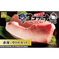ふるさと納税 豊後まぐろ ヨコヅーナ 赤身400g 中トロ400g | 津久見市 大分県津久見市 | ふるなび(ふるさと納税)