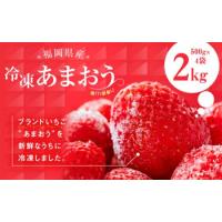 ふるさと納税 福岡県産 冷凍 あまおう 合計2kg (500g×4袋) いちご 苺 フルーツ 福岡県嘉麻市 | ふるなび(ふるさと納税)