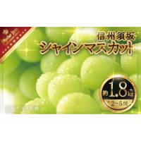 ふるさと納税 シャインマスカット 約1.8kg（約2〜5房）《信州グルメ市場》■2024年発送■※9月上旬頃〜10月下旬頃まで順次発送予定 長野県須坂市 | ふるなび(ふるさと納税)