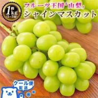 ふるさと納税 2026年発送 山梨県産 シャインマスカット 約1kg(2〜3房) 山梨が誇る人気果物 熟練農家厳選【配送不可地域：離島・沖縄県】【127252.. 山梨県山梨市 | ふるなび(ふるさと納税)