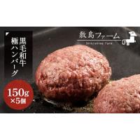 ふるさと納税 那須高原 敷島和牛手作りハンバーグ（150g×5個）計750g 小分け ハンバーグ 肉 お肉 牛肉 国産 黒毛和牛 冷凍 栃木県 那須町《.. 栃木県那須町 | ふるなび(ふるさと納税)