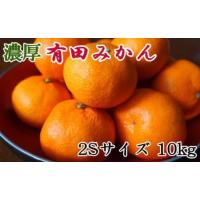 ふるさと納税 【濃厚・秀品】和歌山有田みかん約10kg(2Sサイズ) ★2024年11月中旬頃より順次発送 和歌山県有田川町 | ふるなび(ふるさと納税)