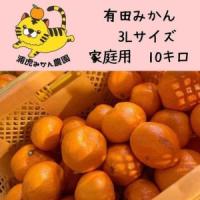 ふるさと納税 12/25までにご入金確認分は年内発送確定！温州みかん 家庭用 箱込み10kg ( 3Lサイズ以上 ) 大きいミカンが好きな人におすすめ 和歌山県有田川町 | ふるなび(ふるさと納税)