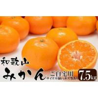 ふるさと納税 みかん 和歌山産 【訳あり】ミカン 7 . 5kg 【ご自宅用・サイズ不揃い・キズ等あり】 和歌山県和歌山市 | ふるなび(ふるさと納税)
