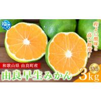 ふるさと納税 【2026年秋・先行予約】秀品 由良早生みかん 約3kg サイズおまかせ ※2026年10月上旬〜10月下旬頃に順次発送【sml107C】 和歌山県由良町 | ふるなび(ふるさと納税)