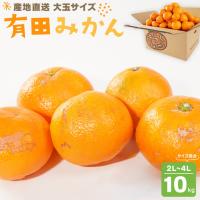 ふるさと納税 有田みかん 大玉サイズ 2L〜4L サイズ混合 約10kg みかん 喜楽farms 【2026年12月以降順次発送】 和歌山県有田川町 | ふるなび(ふるさと納税)