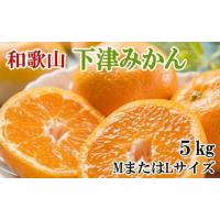 ふるさと納税 ［産直・秀品］和歌山下津みかん約5kg(MサイズまたはLサイズのいずれかをお届け) ★2026年11月中旬頃より順次発送［TM74］ 和歌山県和歌山市 | ふるなび(ふるさと納税)