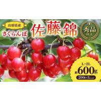 ふるさと納税 【先行予約 令和7年度発送】山形県産 さくらんぼ 佐藤錦 約600g（200g×3パック）秀品以上 L〜2Lサイズ FSY-0689 山形県 | ふるなび(ふるさと納税)