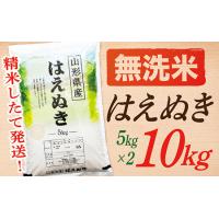 ふるさと納税 【令和7年産】【無洗米】山形県産はえぬき10kg 山形県最上町 | ふるなび(ふるさと納税)