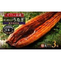 ふるさと納税 泰正オーガニックうなぎ蒲焼　特大3尾 鹿児島県大崎町 | ふるなび(ふるさと納税)