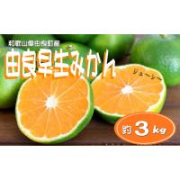 ふるさと納税 ≪秀品≫和歌山由良町産 由良早生みかん 約3kg サイズおまかせ【sml107C】 和歌山県新宮市 | ふるなび(ふるさと納税)