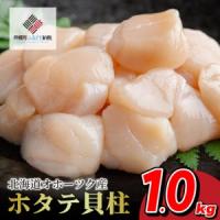 ふるさと納税 高評価★4.8！ 北海道 オホーツク産 ホタテ貝柱 ホタテ1kg【配送不可地域：離島】 北海道美幌町 | ふるなび(ふるさと納税)