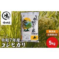 ふるさと納税 定期便 令和7年産 コシヒカリ 無洗米 5kg 定期便 千葉県千葉市 | ふるなび(ふるさと納税)