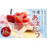 ふるさと納税 【2024年4月上旬より順次発送】福岡県産 冷凍あまおう 1.6kg 800g×2パック 福岡県太宰府市 | ふるなび(ふるさと納税)