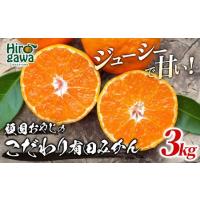 ふるさと納税 頑固オヤジの 有田 みかん 3kg 家庭用 / 温州みかん 有田みかん 甘い 訳あり 和歌山 柑橘 ※2026年11月中旬〜2027年1月下旬頃に.. 和歌山県広川町 | ふるなび(ふるさと納税)
