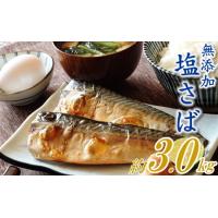 ふるさと納税 AB182.バラ凍結で便利！塩さば（約3kg） 福岡県新宮町 | ふるなび(ふるさと納税)