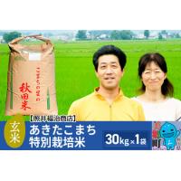 ふるさと納税 【玄米】令和5年産 あきたこまち特別栽培米 30kg（30kg×1袋）秋田県産 お米 秋田県美郷町 | ふるなび(ふるさと納税)