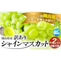 ふるさと納税  シャインマスカット マスカット 岡山県産 ぶどう 約 2kg 3~5房 令和6年度先行予約 訳あり《9月中旬-11月上旬頃より発送予定(土日.. 岡山県浅口市 | ふるなび(ふるさと納税)