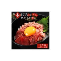 ふるさと納税 訳あり 本鮪端材切り落とし・ネギトロセット 本鮪切落し100g×3・ネギトロ70g×2 本マグロ  高知県土佐市 | ふるなび(ふるさと納税)