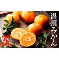 ふるさと納税 果物類 みかん 福岡県 新宮町 AA074.温州みかん（5kg程度）／2026年11月〜2027年1月配送 | ふるさとチョイス