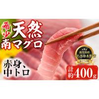 ふるさと納税 マグロ 鹿児島県 いちき串木野市 天然 南マグロ 冷凍 中トロ 200g 赤身 200g 合計400g 希少 な ミナミマグロ の 味わいセット 南まぐろ 刺身 小… | ふるさとチョイス