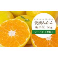 ふるさと納税 果物類 みかん 愛媛県 八幡浜市  2026年10月発送先行受付 シーズン1番採り 八幡浜産 極早生みかん 5kg C25-35 _ みかん ミカン 柑橘 フルーツ ふ… | ふるさとチョイス