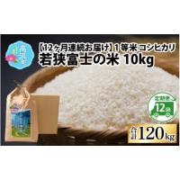 ふるさと納税 福井県 高浜町 【令和5年産】【12ヶ月連続定期便】一等米コシヒカリ 若狭富士の米 10kg | ふるさとチョイス