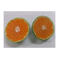 ふるさと納税 果物類 みかん 愛知県 幸田町 《数量限定》幸田町産「グリーンハウスみかん 2kg 化粧箱」 2026年8月中旬から9月上旬頃に順次発送予定 みかん 蜜… | ふるさとチョイス