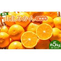 ふるさと納税 果物類 みかん 高知県 香南市  令和8年10月下旬発送開始 山北みかん 5kg(家庭用・露地) - 甘い 果物 フルーツ 温州みかん ミカン 2026 先行受付 … | ふるさとチョイス