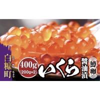ふるさと納税 いくら 北海道 白糠町 いくら醤油漬 鱒卵 400g（200g × 2）いくら イクラ 小分け イクラ醤油漬 いくら醤油漬け イクラ醤油漬け ikura 醤油いく… | ふるさとチョイス