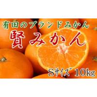 ふるさと納税 果物類 みかん 和歌山県 有田川町 ［秀品 有田のブランド「賢みかん」10kg(Sサイズ)［2026年11月中旬頃より順次発送］ | ふるさとチョイス