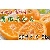 ふるさと納税 果物類 みかん 和歌山県 有田川町  秀品 和歌山有田みかん約5kg(2Sサイズ) 2026年11月中旬頃より順次発送 | ふるさとチョイス
