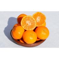 ふるさと納税 果物類 みかん 和歌山県 和歌山市 ［先行予約］和歌山県産 みかん 秀品 箱込約10kg（約9kg＋保証分500g） | ふるさとチョイス