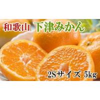 ふるさと納税 果物類 みかん 和歌山県 海南市 ［産直・秀品］和歌山下津みかん約5kg（2Sサイズ） 2026年11月中旬頃より順次発送［TM72］ | ふるさとチョイス