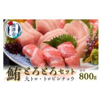 ふるさと納税 マグロ 静岡県 焼津市 a20-371　鮪とろとろセット 約800g | ふるさとチョイス