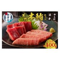 ふるさと納税 マグロ 静岡県 焼津市 a17-020　『まぐろの魚二』天然本鮪中トロ・赤身約400gセット | ふるさとチョイス